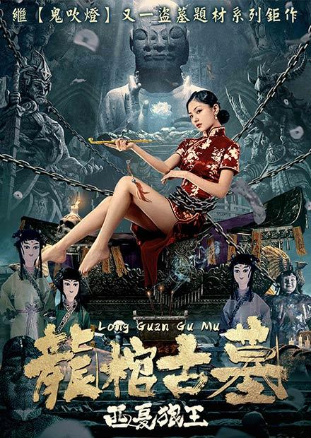 龍棺古墓：西夏狼王