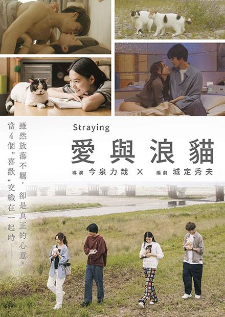 愛與浪貓
