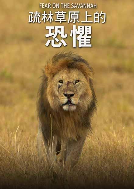 疏林草原上的恐懼(雙語)