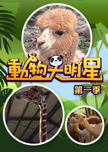 動物大明星S1