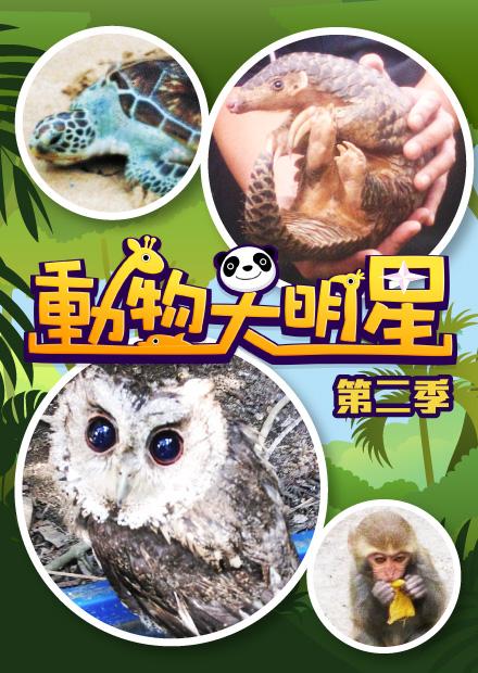 動物大明星S2