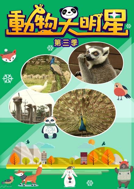 動物大明星S3