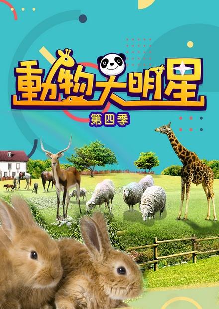 動物大明星S4