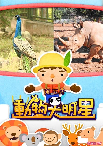 動物大明星S5