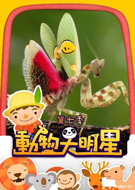 動物大明星S7