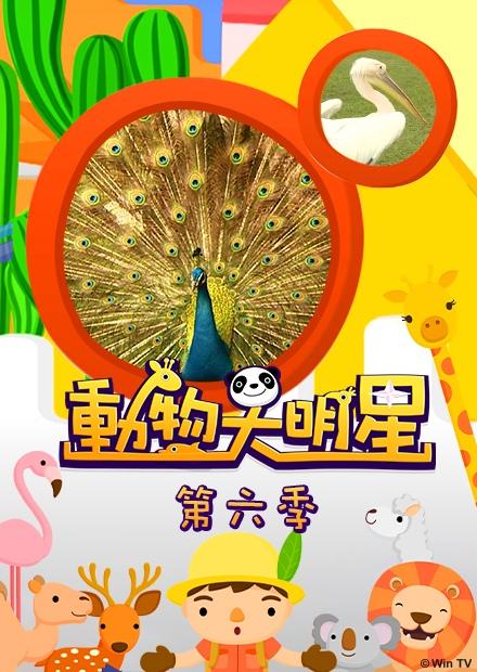 動物大明星S6