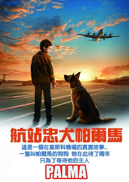 航站忠犬帕爾馬