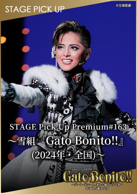 STAGE Pick Up Premium#163－雪組「Gato Bonito!!」(2024年･全國)－