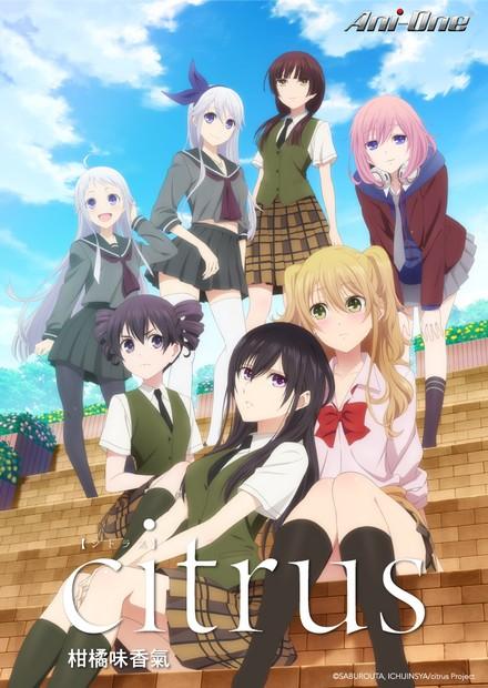 citrus-柑橘味香氣-