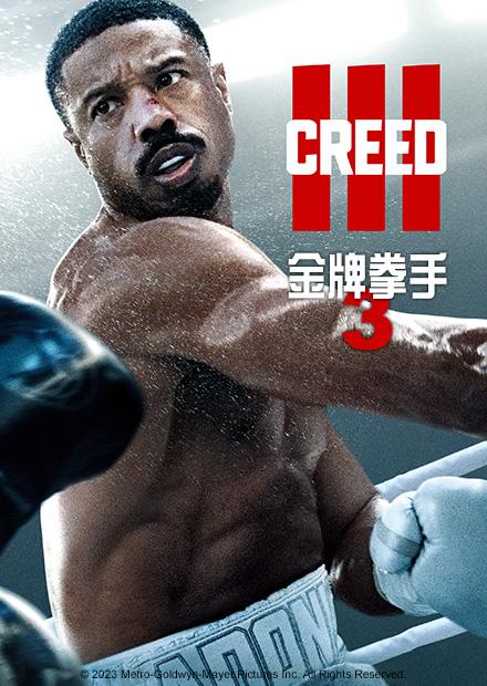金牌拳手3