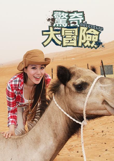 驚奇大冒險S1