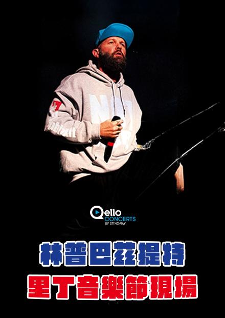 林普巴茲提特-里丁音樂節現場