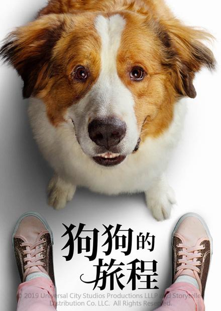狗狗的旅程