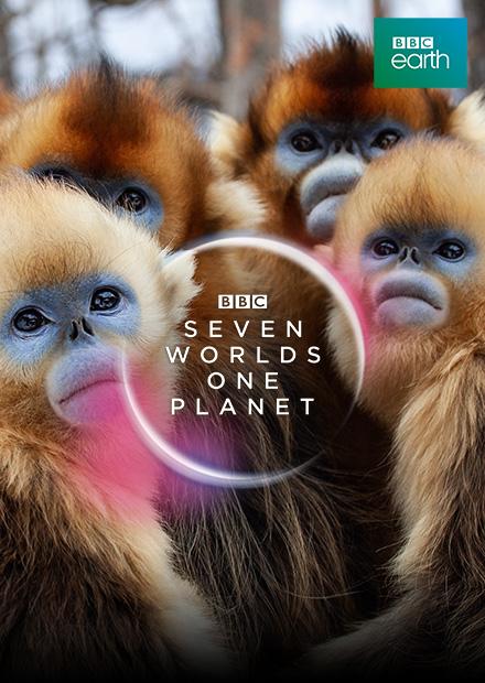 七個世界，一個星球S1