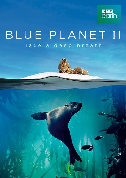 藍色星球S2