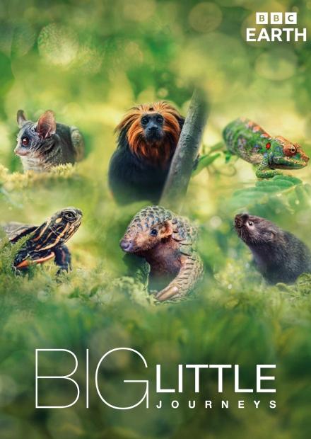 小動物的生命奇蹟S1