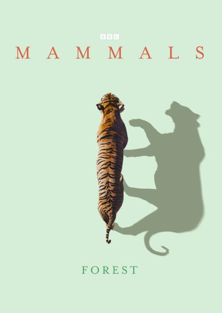 哺乳動物大解密