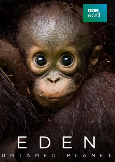 伊甸園：地球最後的秘密S1