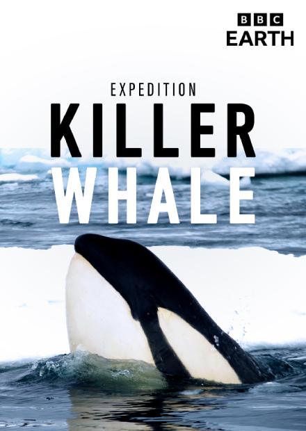 揭開殺人鯨的秘密S1