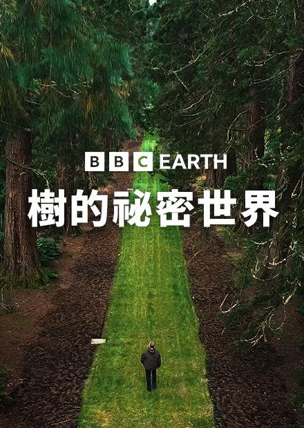 樹的祕密世界S1