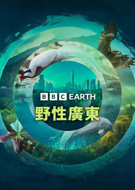 野性廣東S1