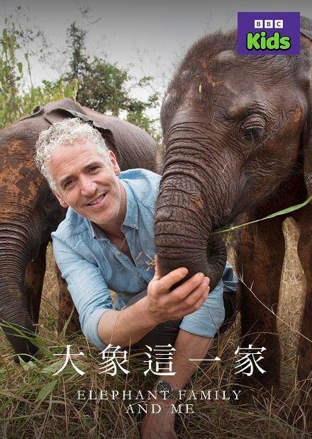 大象這一家