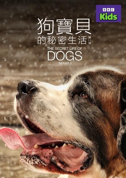 狗寶貝的秘密生活