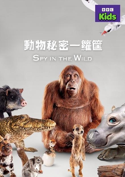 動物秘密一籮筐S1