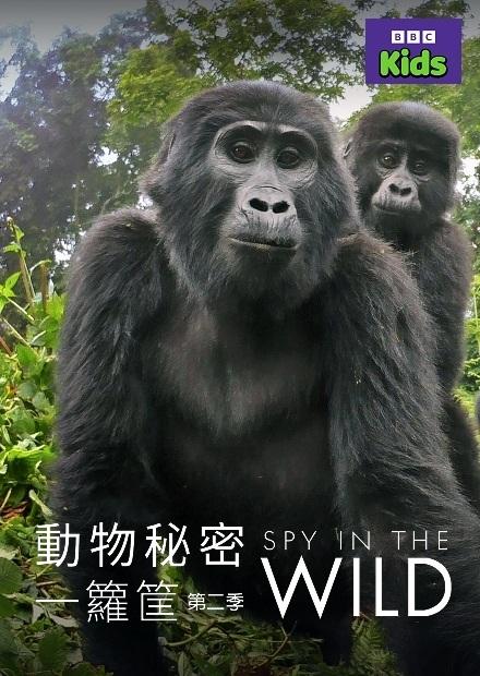 動物秘密一籮筐S2