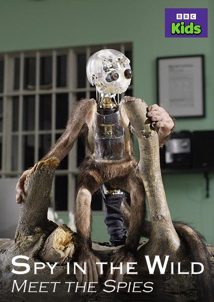 動物秘密一籮筐-幕後製作