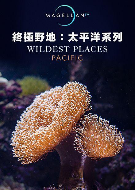 終極野地：太平洋