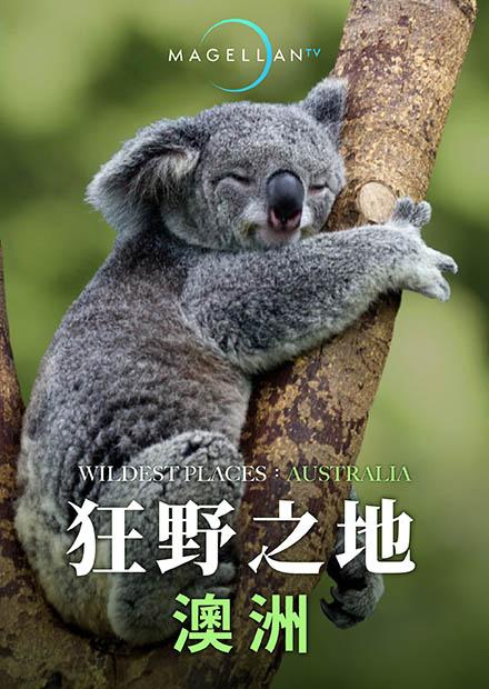 狂野之地：澳洲