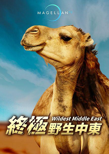 終極野生中東