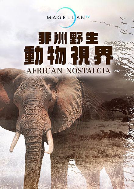 非洲野生動物視界