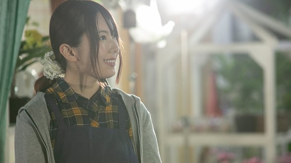 午後盛開的秘蜜花蕾