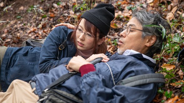 午後盛開的秘蜜花蕾