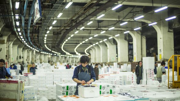 築地市場：和食之心