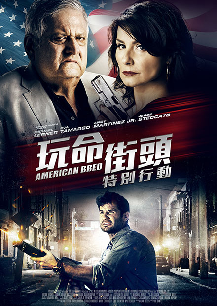 玩命街頭：特別行動