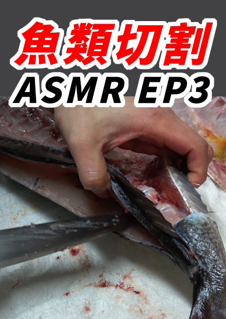 大型魚類切割技能EP3 竹筴魚/鮪魚 ASMR