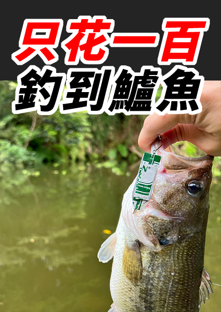 只花一百塊就能釣到珍貴的淡水鱸魚！