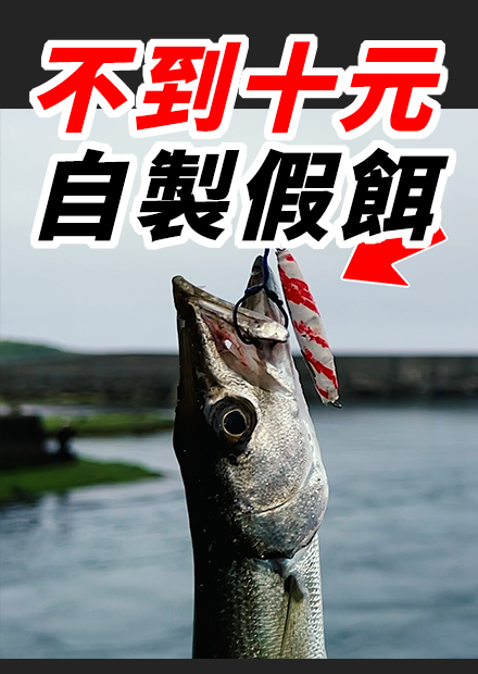 製作不到十元的假餌 竟然釣到珍貴的海中戰狼！