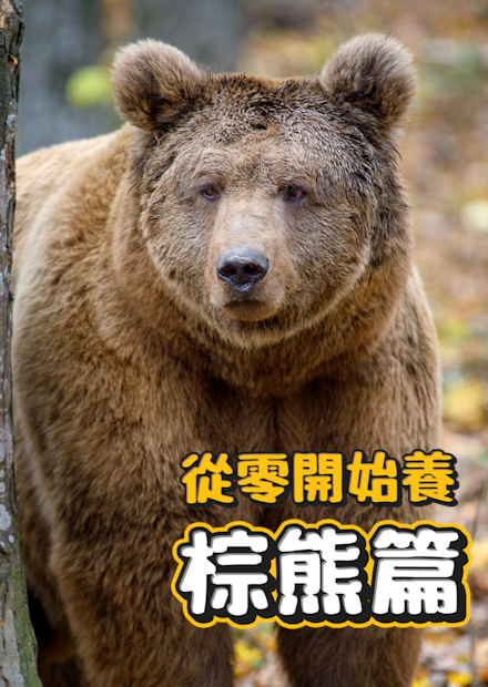 【從零開始養】棕熊!被馬戲團丟棄!毛茸茸的猛獸!真的有人養熊?還能演電影!【許伯簡芝】