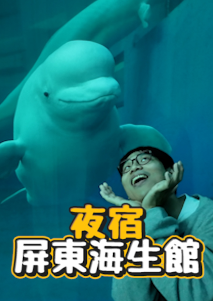 【會員限定】第一次體驗跟白鯨一起睡覺?晚上的海生館原來長這樣!?白天各種活動海邊找螃蟹?餵魟魚?【夜宿屏東海生館】