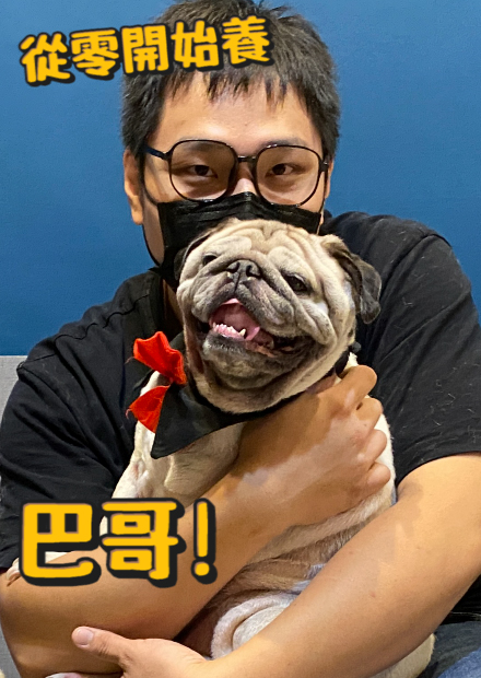 【從零開始養】巴哥!跟法鬥的差別?長得像牡蠣?很玄的墳墓巴哥救援案!【許伯簡芝】
