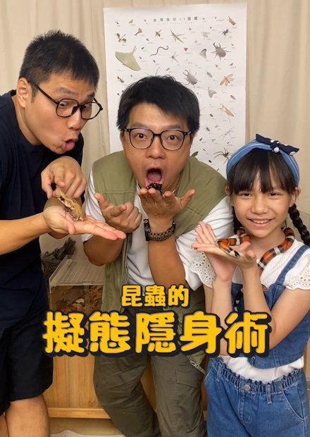 【從零開始養】擬態隱身術!隱身術超厲害!!會模仿別人?警戒色讓你不敢動他!【許伯簡芝】