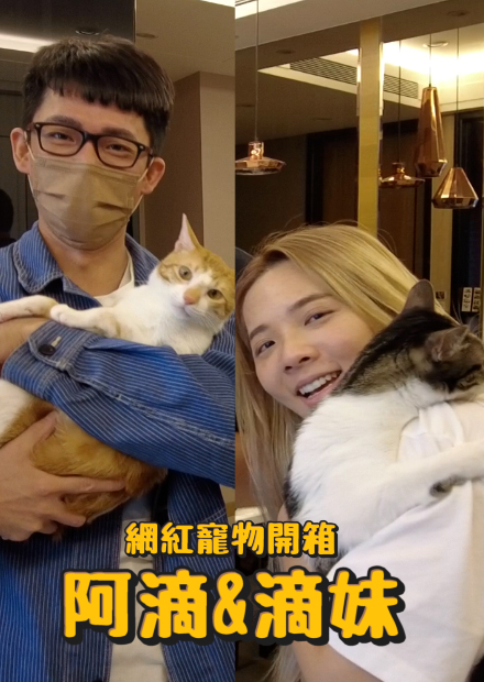 【網紅寵物開箱】阿滴滴妹!珍珠奶茶來自名門望族?滴妹對貓超級過敏?阿滴性向之謎?會想生小孩?滴妹突然落淚?【許伯簡芝】