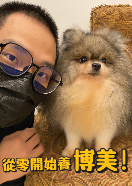 【從零開始養】博美!養30隻博美的體驗?都市型寵物?【許伯簡芝】