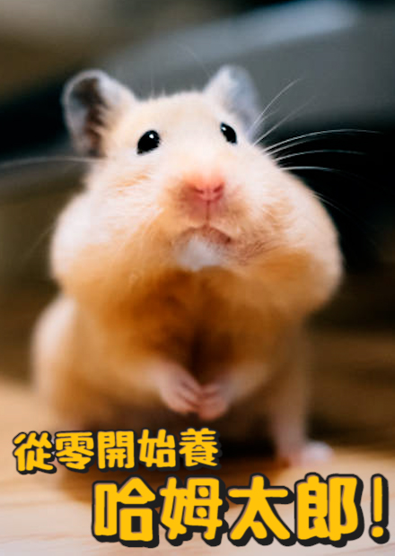 【從零開始養】哈姆太郎!倉鼠飼養!【許伯簡芝】