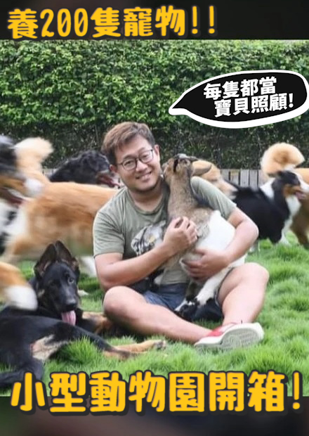 養200隻寵物!德爺小型動物園開箱!!
