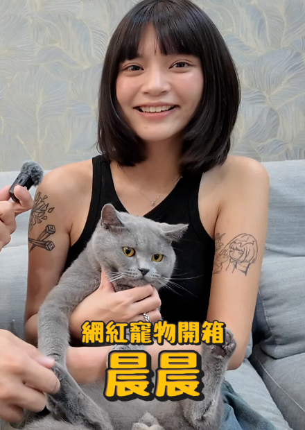 【網紅寵物八卦】晨晨!開箱2隻貓貓!晨晨單飛原因?!跟品子不合?喜歡過女生!?【許伯簡芝】